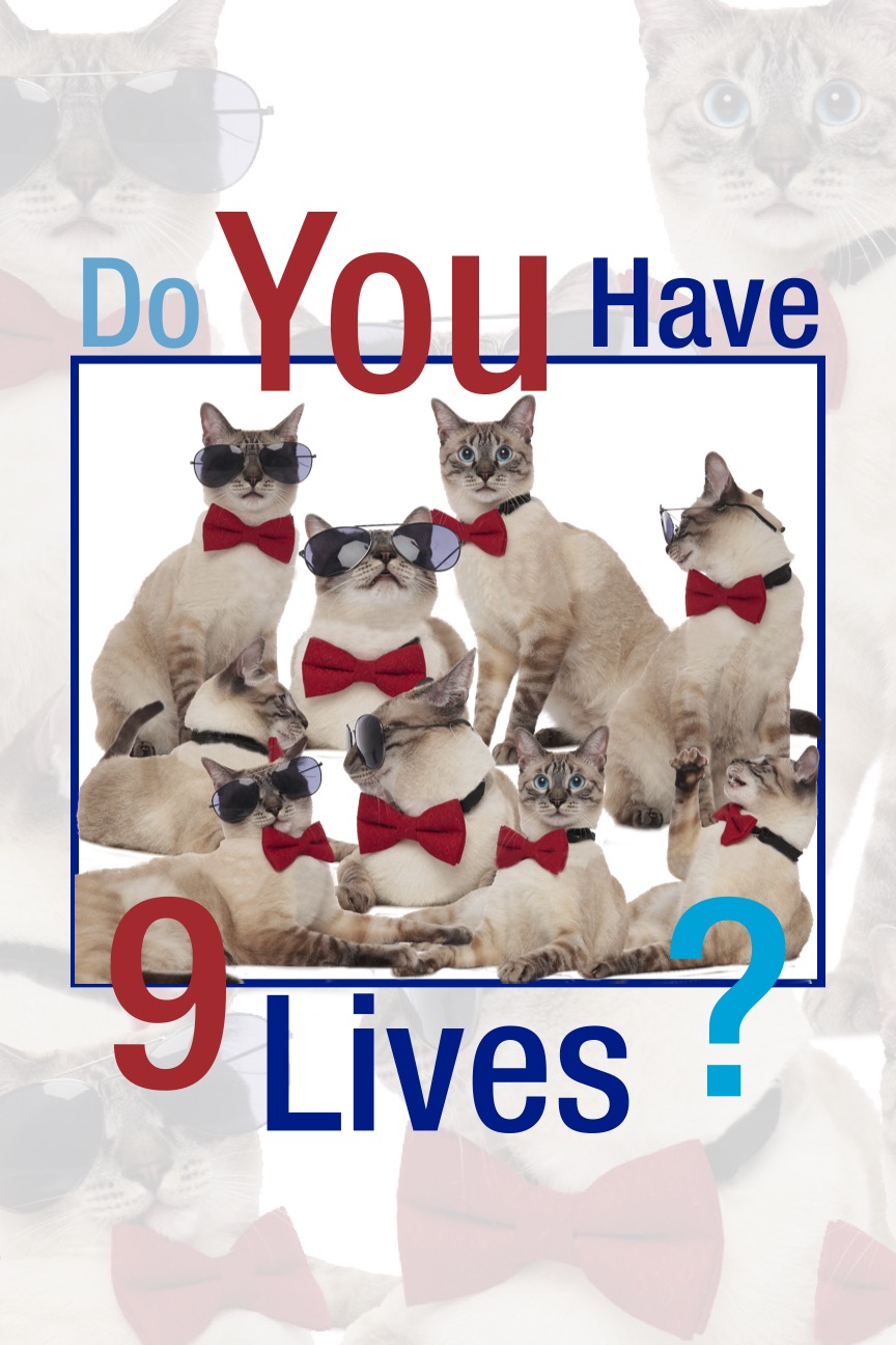 have nine lives